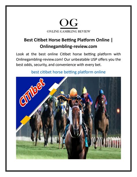 citibet horse betting online